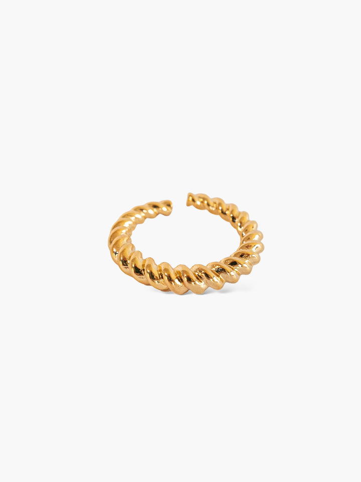 Twisted Simple Ring