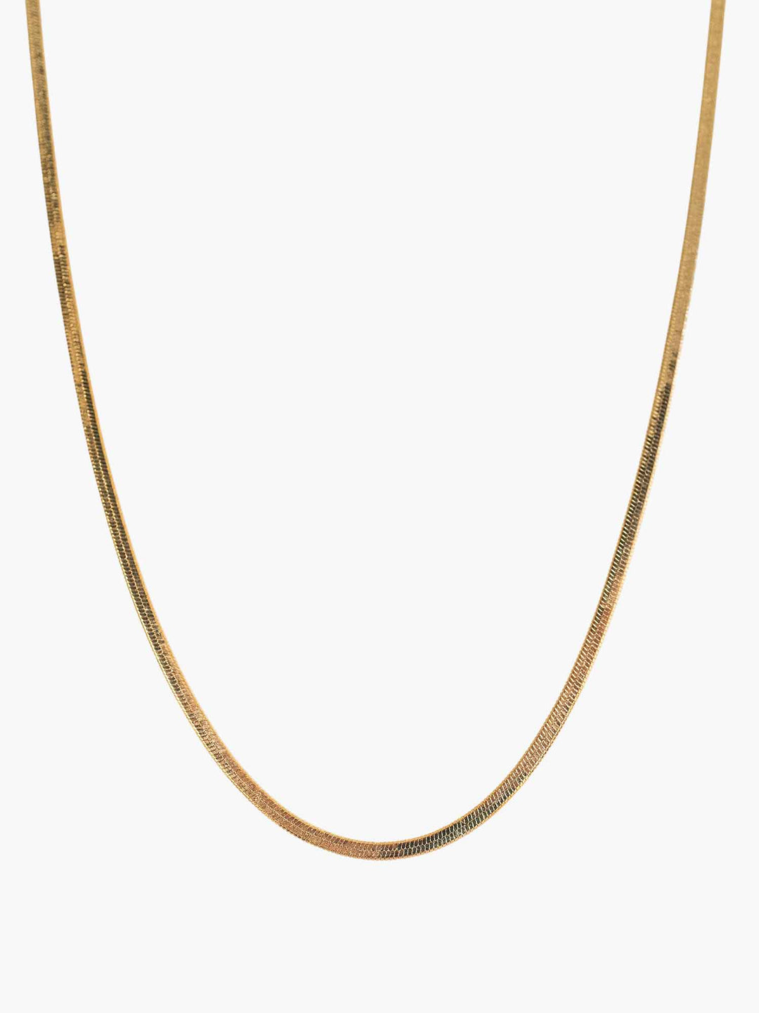 Halia  Chain Necklace